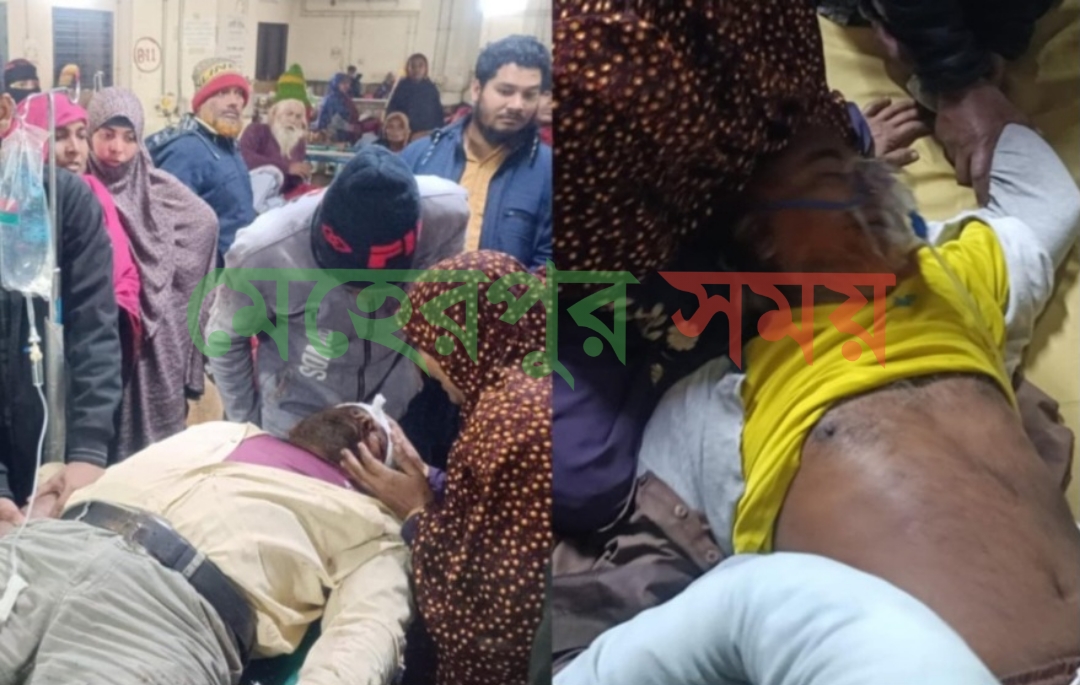 মেহেরপুরে সড়ক দুর্ঘটনায় ২ জন আহত